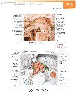 Sobotta Atlas of Human Anatomy  Head,Neck,Upper Limb Volume1 2006, page 302